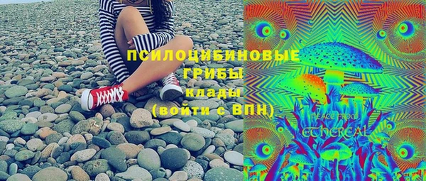 ГАЛЛЮЦИНОГЕННЫЕ ГРИБЫ Яранск