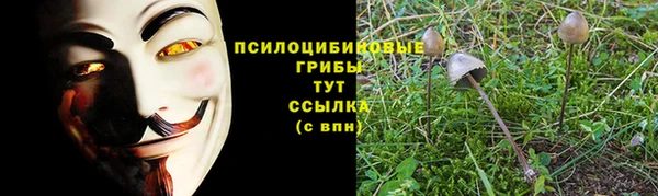 бутират Дмитровск