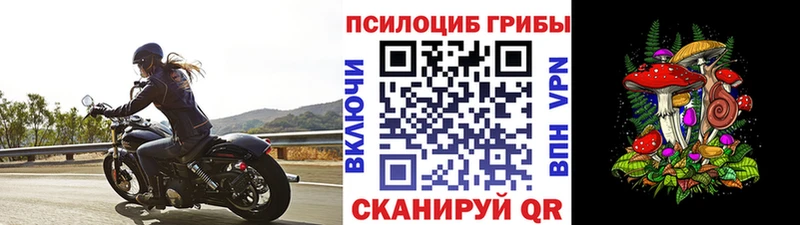 Галлюциногенные грибы прущие грибы omg ссылки Новый Оскол